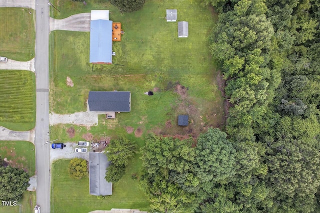 144 Gwinn Rd, Roxboro, NC 27573 - photo 36