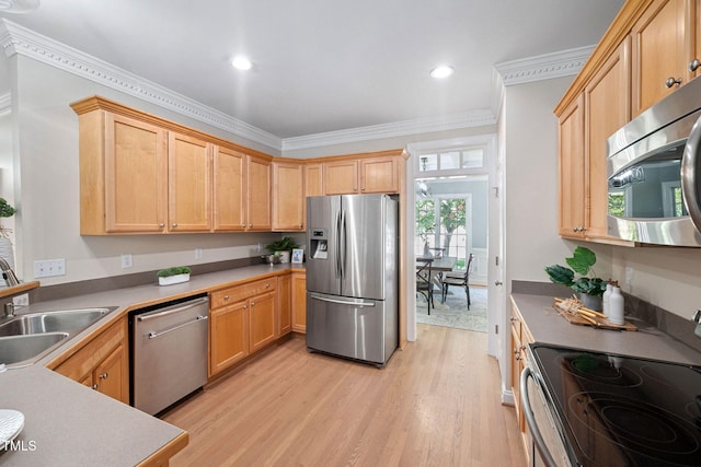 516 Vatersay Dr, Apex, NC 27502 - photo 9