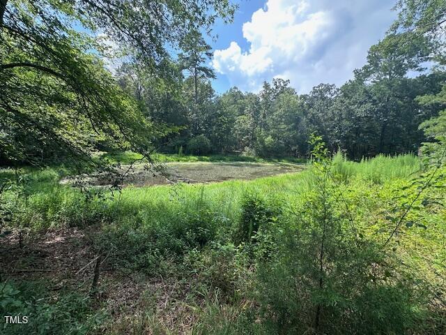 4115 Busbee Rd, Seagrove, NC 27341 - photo 33