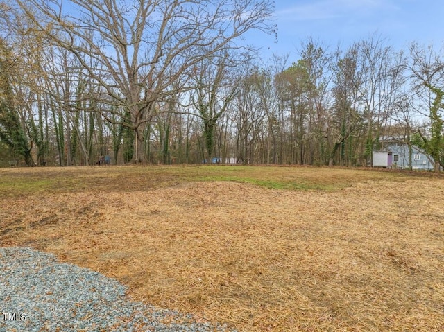320 W Orange St, Hillsborough, NC 27278 - photo 42