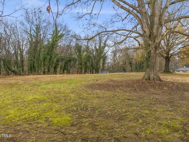 320 W Orange St, Hillsborough, NC 27278 - photo 45