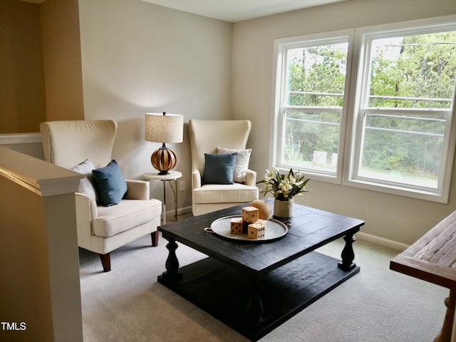 1002 Flagler St, Durham, NC 27713 - photo 18