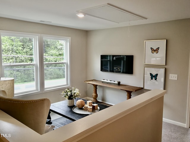 1002 Flagler St, Durham, NC 27713 - photo 17