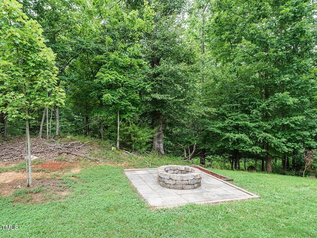 62 Cedar Grove Ct, Clayton, NC 27527 - photo 29