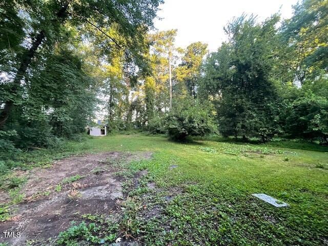 1217 Junction Rd, Durham, NC 27704 - photo 7