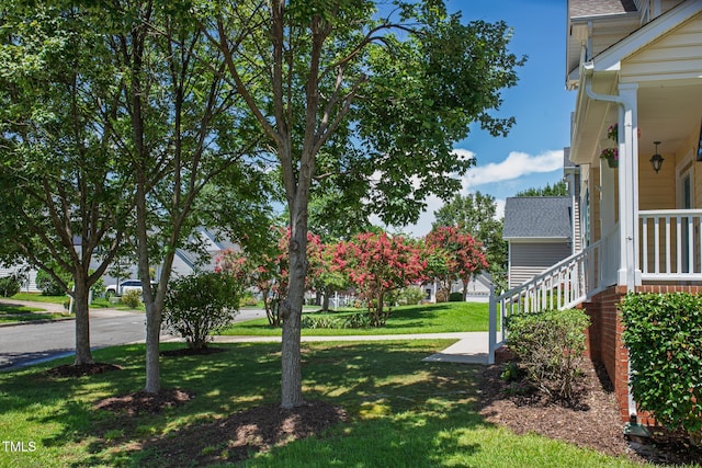 611 Park York Ln, Cary, NC 27519 - photo 6