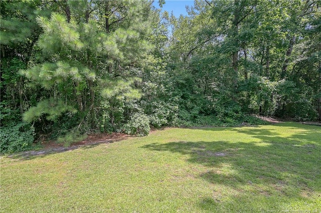 1140 Arailia Dr, Fayetteville, NC 28314 - photo 50