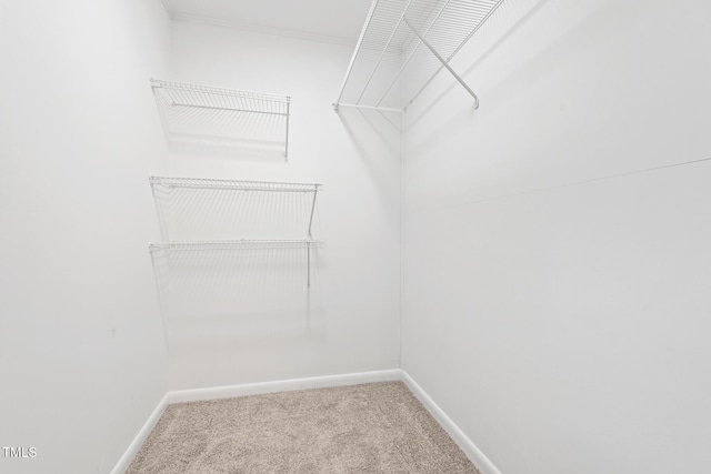 6512 Johnsdale Rd, Raleigh, NC 27615 - photo 23