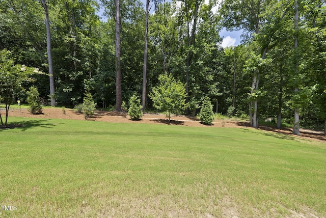 1524 Commons Ford Pl, Apex, NC 27539 - photo 43