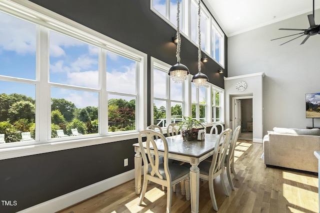 2045 Herbert Akins Rd, Fuquay Varina, NC 27526 - photo 23