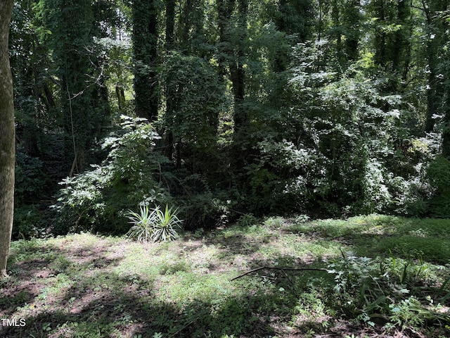 2308 Stonesthrow Ct, Raleigh, NC 27610 - photo 4