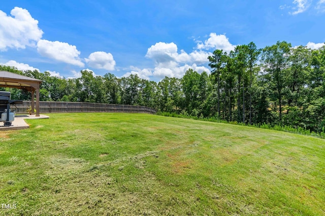 218 Hunting Wood Dr, Angier, NC 27501 - photo 29