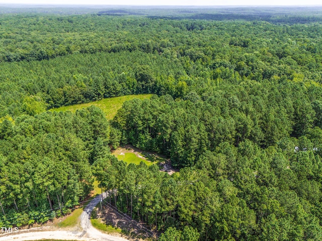 1096 Kadir Womble Dr, New Hill, NC 27562 - photo 5