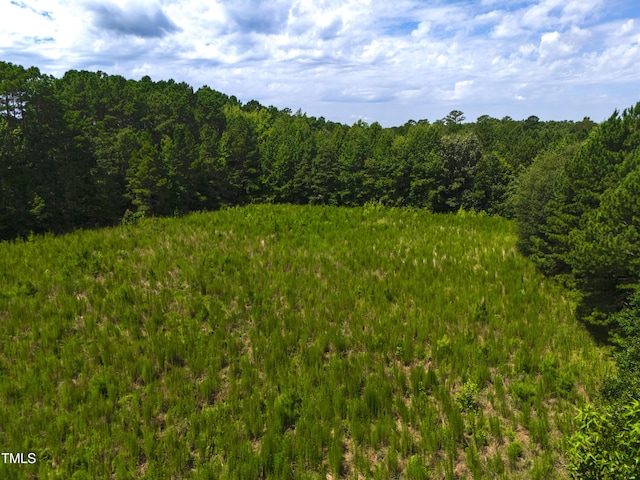 1096 Kadir Womble Dr, New Hill, NC 27562 - photo 4