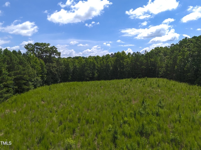 1096 Kadir Womble Dr, New Hill, NC 27562 - photo 3