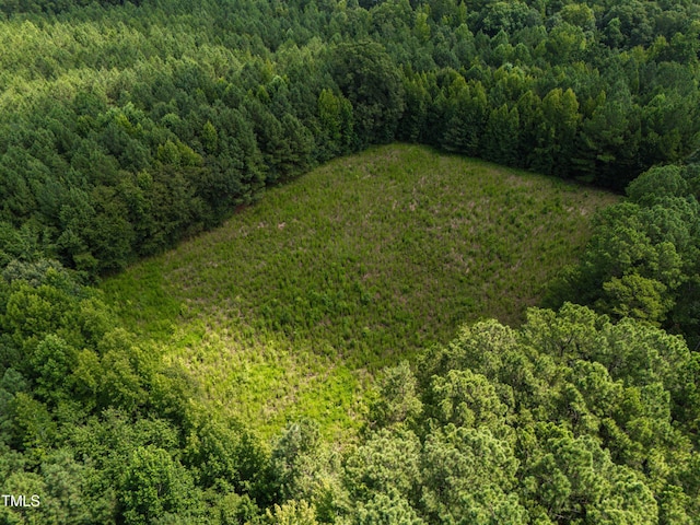 1096 Kadir Womble Dr, New Hill, NC 27562 - photo 2