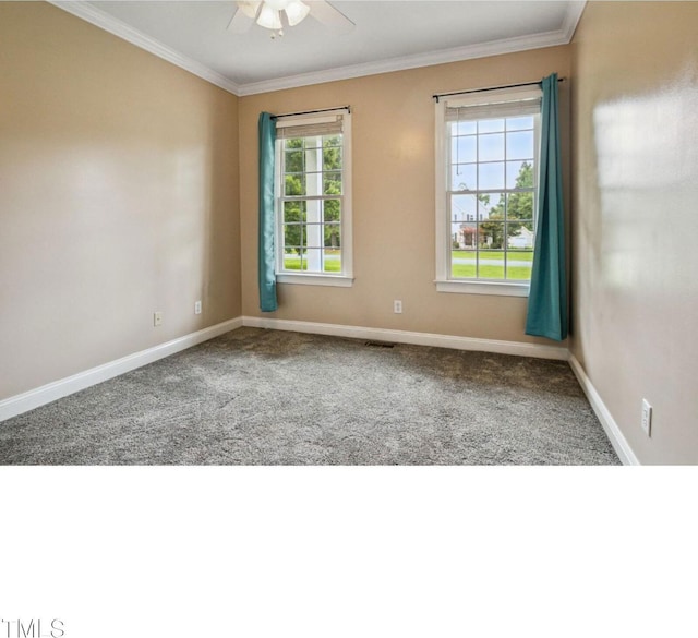 226 Fletcher Ridge Rd, Timberlake, NC 27583 - photo 19