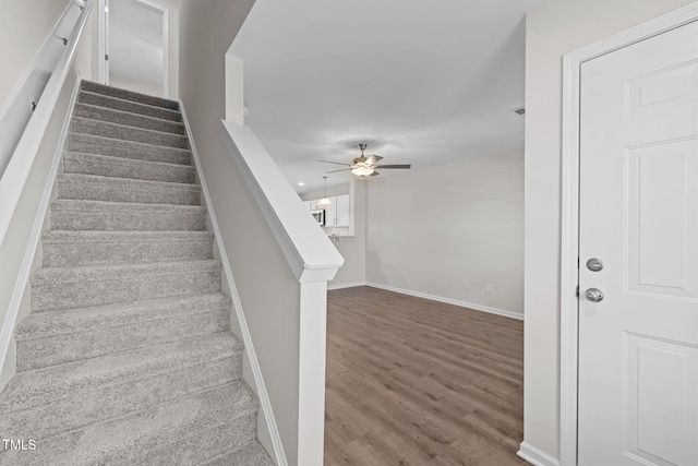 1045 Peony Ln, Youngsville, NC 27596 - photo 14