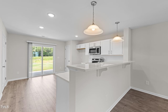 1045 Peony Ln, Youngsville, NC 27596 - photo 3