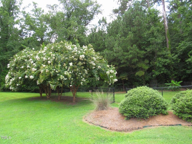 1601 Carriage Dr, Franklinton, NC 27525 - photo 41