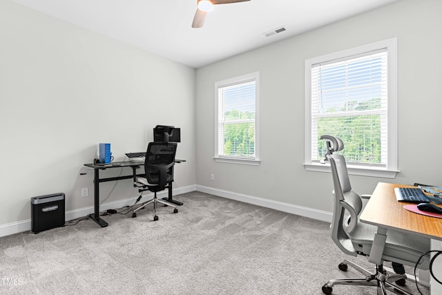3917 Mount Moran Rd, Raleigh, NC 27616 - photo 29