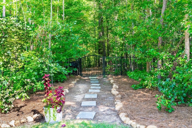 261 Lexington Dr, Apex, NC 27523 - photo 61