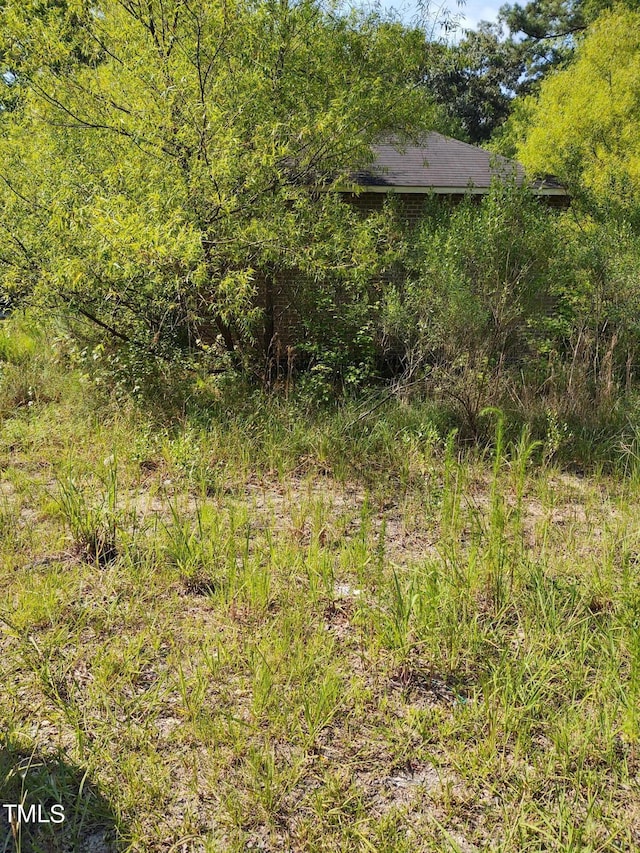 3400 New Hill Holleman Rd, New Hill, NC 27562 - photo 2