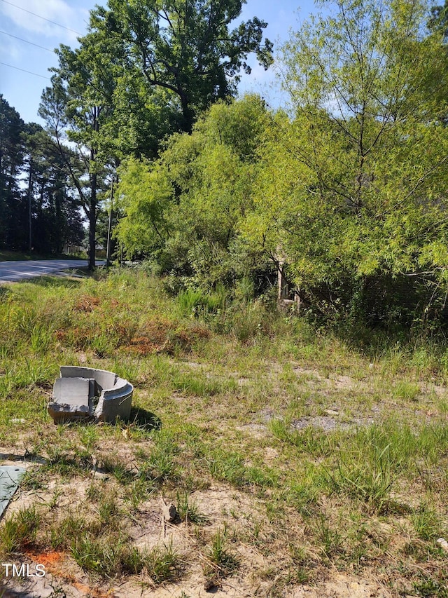 3400 New Hill Holleman Rd, New Hill, NC 27562 - photo 3