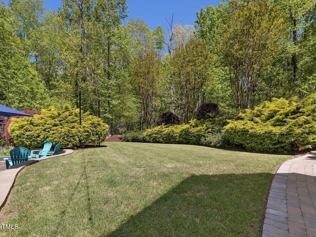 6824 Wood Forest Dr, Cary, NC 27519 - photo 73
