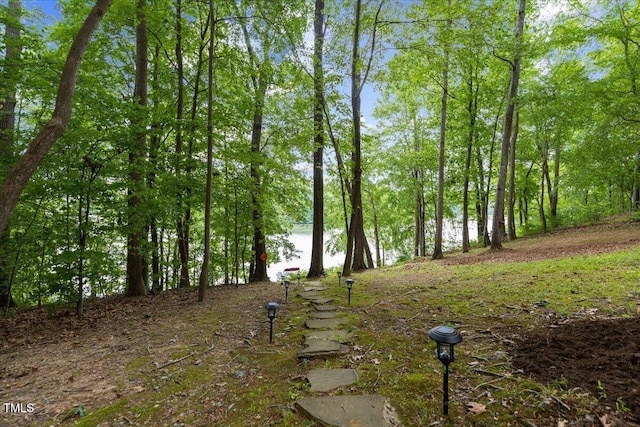 6160 Virgilina Rd, Roxboro, NC 27574 - photo 55