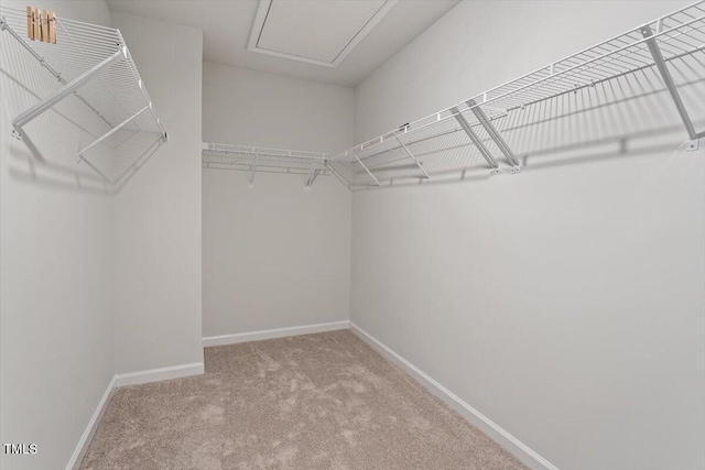 5119 Jessip St, Morrisville, NC 27560 - photo 26