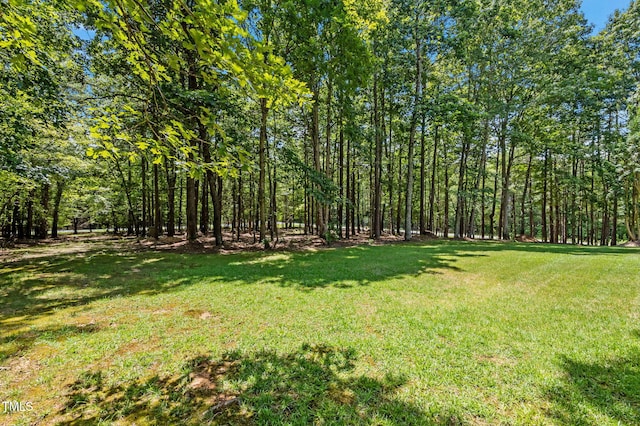 3665 Flat Woods Rd, Timberlake, NC 27583 - photo 25