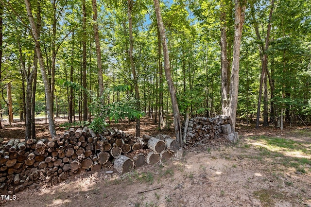 3665 Flat Woods Rd, Timberlake, NC 27583 - photo 27