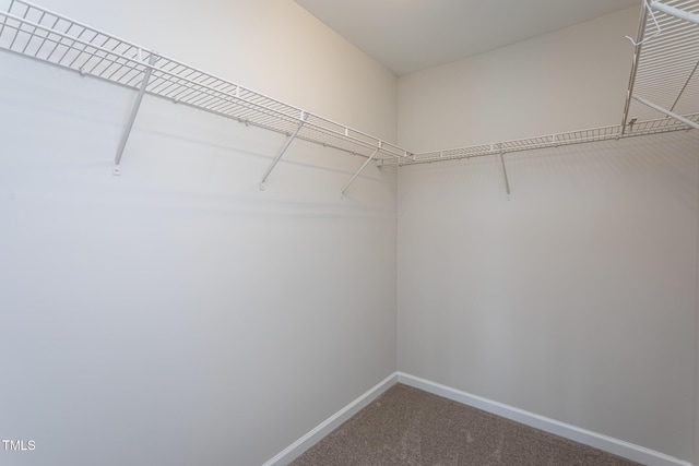 601 Weeping Willow Dr, Durham, NC 27704 - photo 25