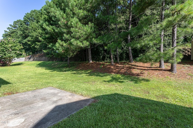 601 Weeping Willow Dr, Durham, NC 27704 - photo 19