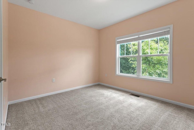 208 Old Ride Dr, Holly Springs, NC 27540 - photo 35