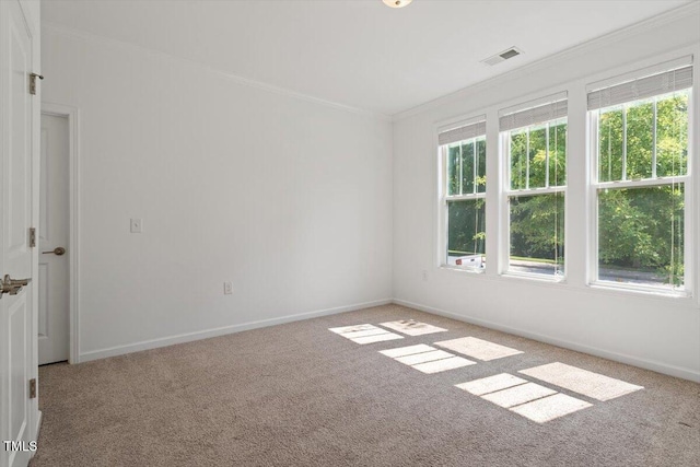 208 Old Ride Dr, Holly Springs, NC 27540 - photo 22