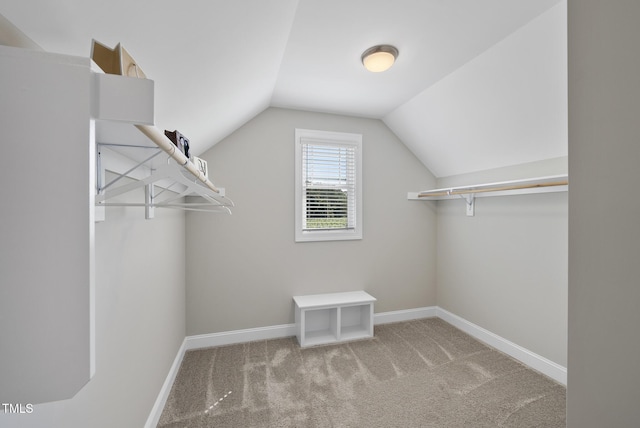 119 Oakhaven Dr, Holly Springs, NC 27540 - photo 23