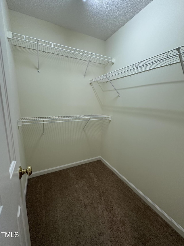203 Caraway Ln, Cary, NC 27519 - photo 24