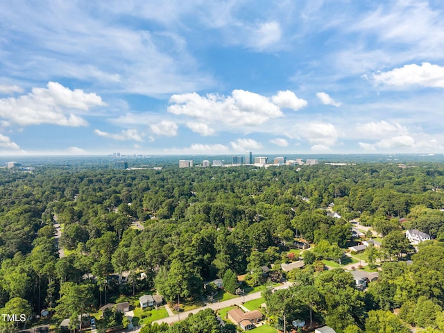 5024 Flint Ridge Pl, Raleigh, NC 27609 - photo 44
