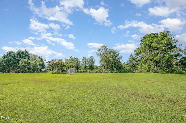 1217 Rolling Farm Dr, Raleigh, NC 27603 - photo 32
