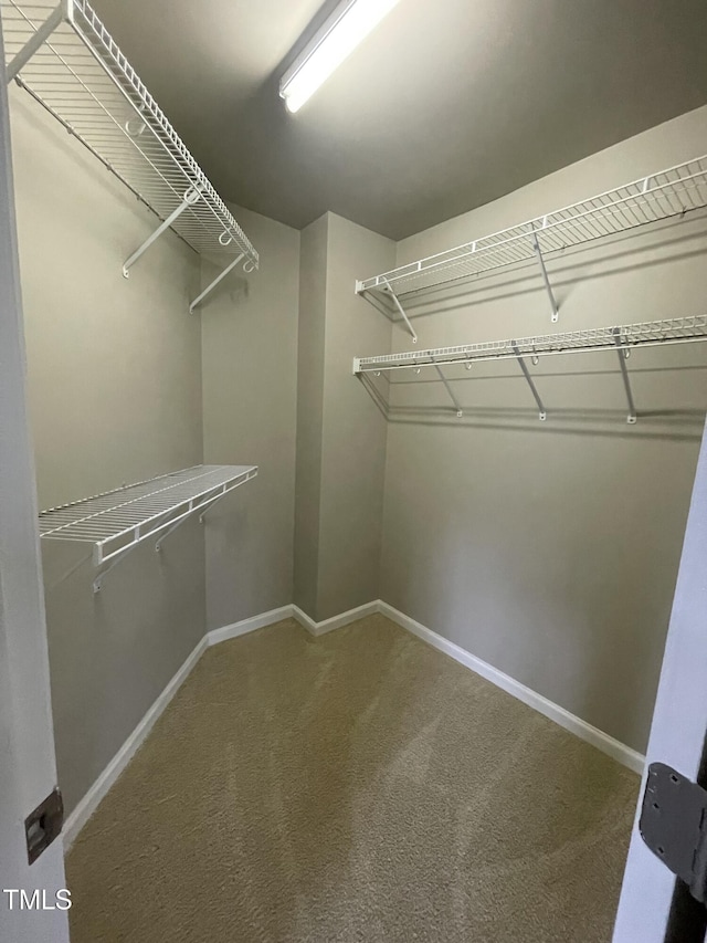 100 Stratford Lakes Dr Unit 101, Durham, NC 27713 - photo 38