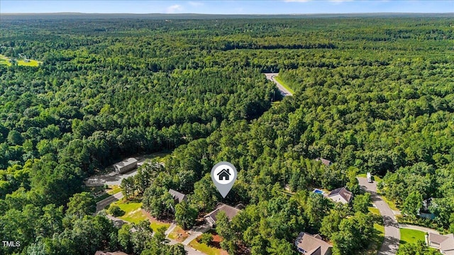 3 Cordelia Way, Vass, NC 28394 - photo 63