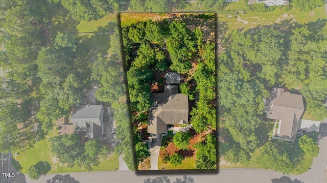 3 Cordelia Way, Vass, NC 28394 - photo 57