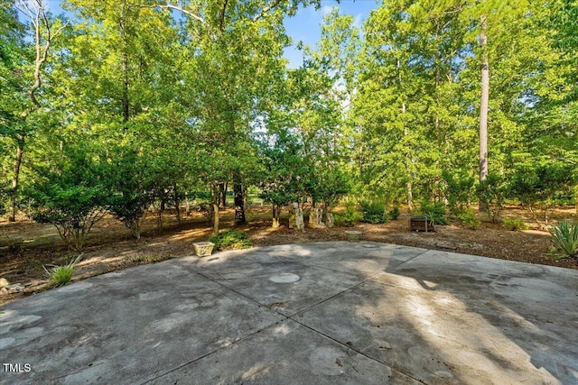 3 Cordelia Way, Vass, NC 28394 - photo 48