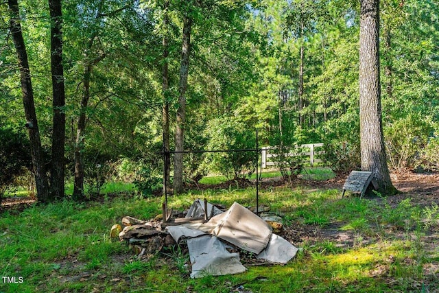 3 Cordelia Way, Vass, NC 28394 - photo 51