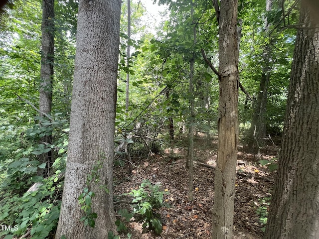 000 20th Ave NE, Hickory, NC 28601 - photo 5