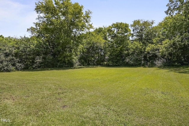 107 Oakland Ave, Broadway, NC 27505 - photo 4