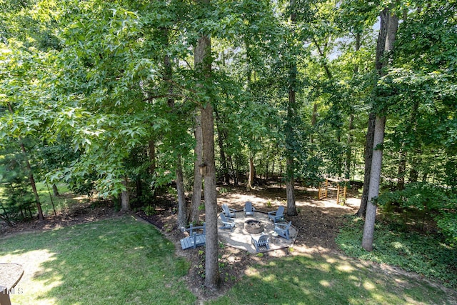 179 Mountain Laurel, Chapel Hill, NC 27517 - photo 4