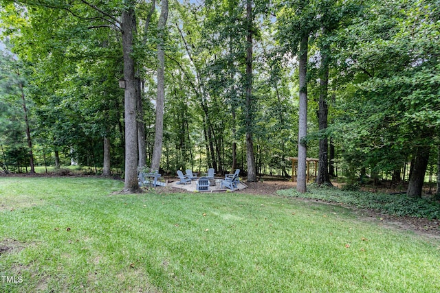 179 Mountain Laurel, Chapel Hill, NC 27517 - photo 41